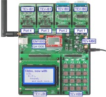 TIBBO EM1000W-TEV (LB1+EM1000W), отладочный комплект с WiFi, ЖК: 128х96 цв